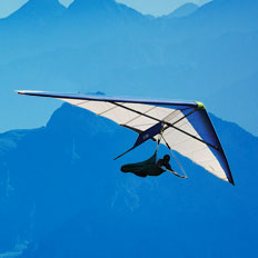 محصولات و خدمات سازمانی